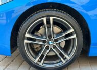 118i -M Sport Paket-