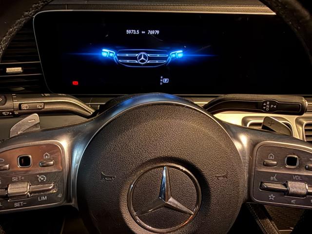 GLE 300d 4Matic AMG Final Edition -RESERVADO-