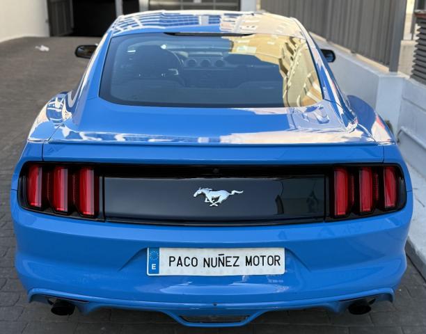 FORD – Mustang – Fastback 2.3 EcoBoost 233 kWAut.