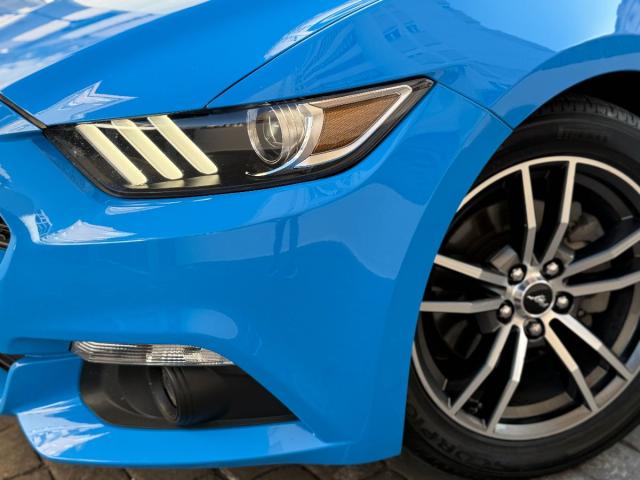 FORD – Mustang – Fastback 2.3 EcoBoost 233 kWAut.