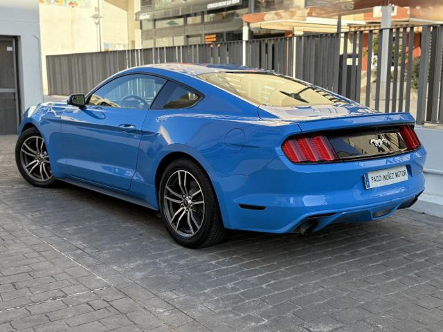 FORD – Mustang – Fastback 2.3 EcoBoost 233 kWAut.