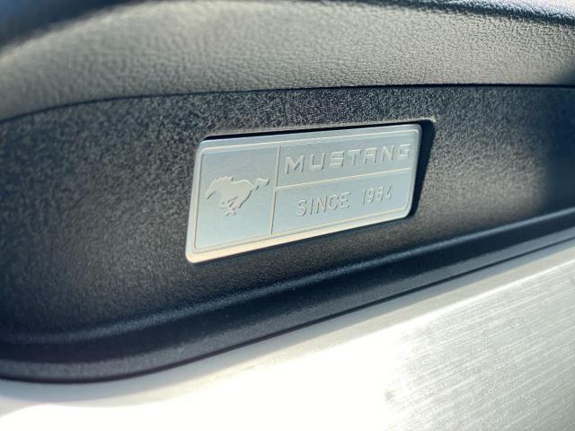 Fastback GT 5.0 Ti-VCT V8 421Cv Aut.-VENDIDO-