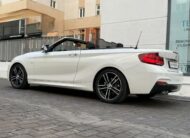 BMW 220i Cabrio M Sport aut.-VENDIDO-