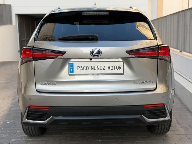 LEXUS – NX – 300h Business 2WD