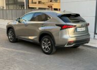 LEXUS – NX – 300h Business 2WD