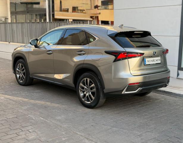 LEXUS – NX – 300h Business 2WD