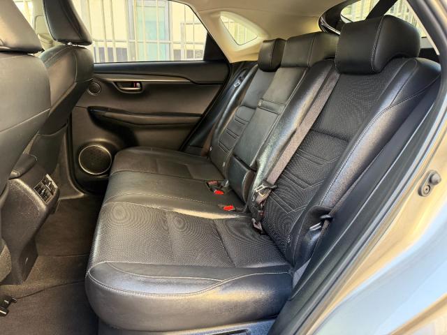 LEXUS – NX – 300h Business 2WD