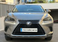 LEXUS – NX – 300h Business 2WD
