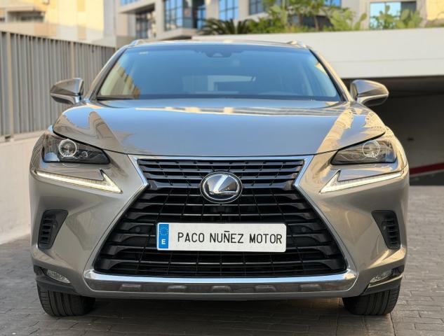 LEXUS – NX – 300h Business 2WD