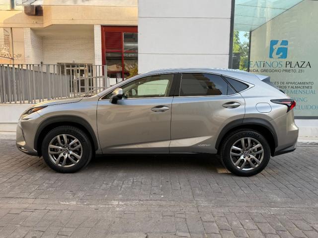 LEXUS – NX – 300h Business 2WD