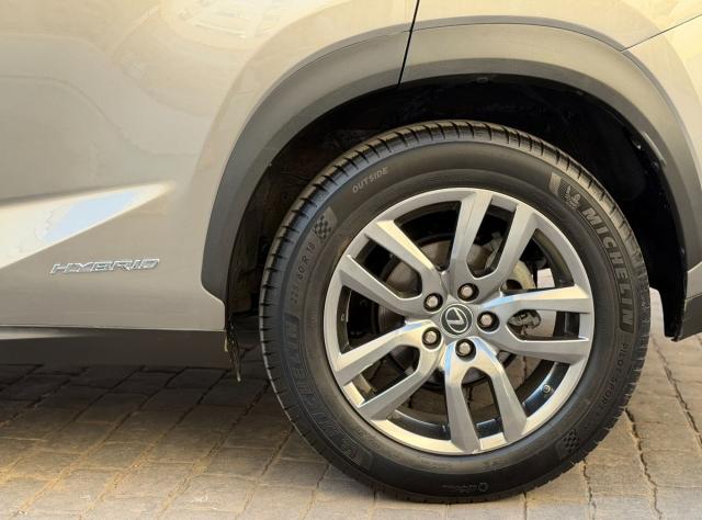 LEXUS – NX – 300h Business 2WD