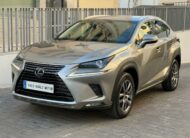 LEXUS – NX – 300h Business 2WD