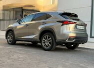 LEXUS – NX – 300h Business 2WD