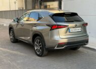 LEXUS – NX – 300h Business 2WD