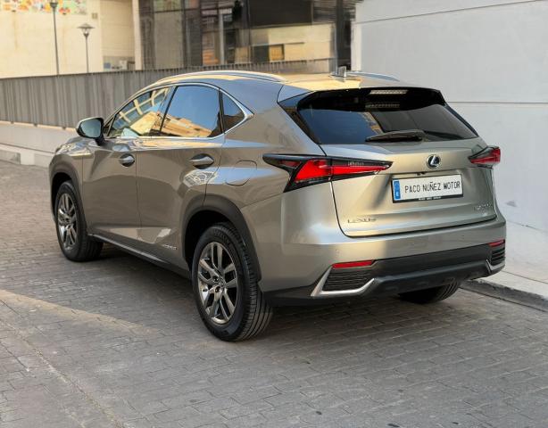 LEXUS – NX – 300h Business 2WD