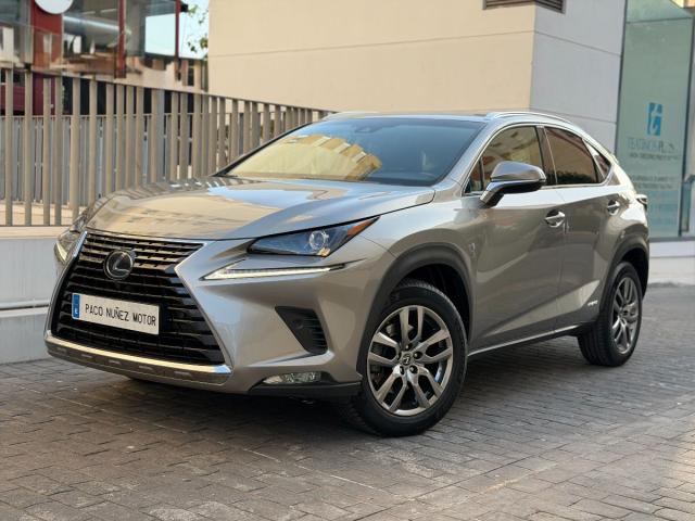 LEXUS – NX – 300h Business 2WD