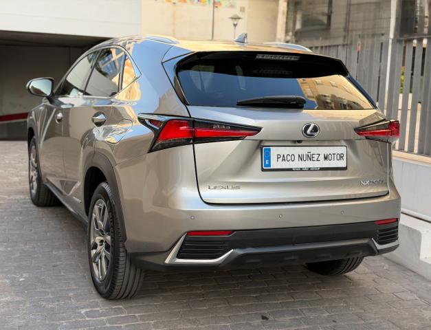 LEXUS – NX – 300h Business 2WD