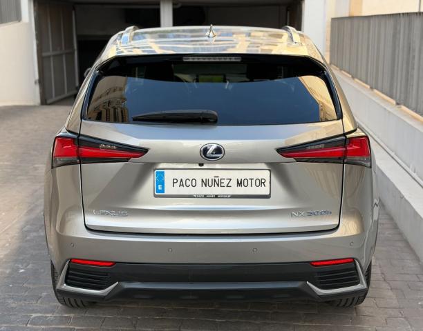 LEXUS – NX – 300h Business 2WD
