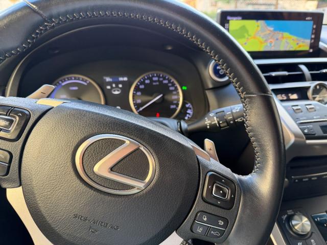 LEXUS – NX – 300h Business 2WD
