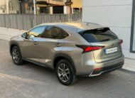 LEXUS – NX – 300h Business 2WD