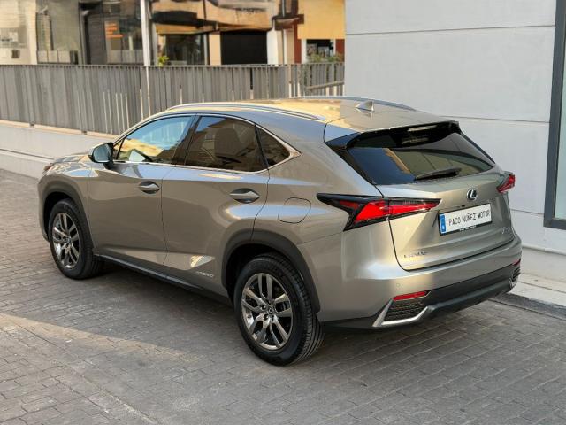 LEXUS – NX – 300h Business 2WD
