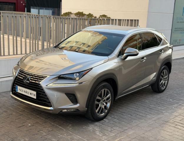 LEXUS – NX – 300h Business 2WD