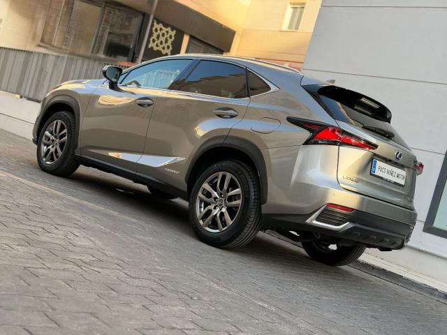 LEXUS – NX – 300h Business 2WD