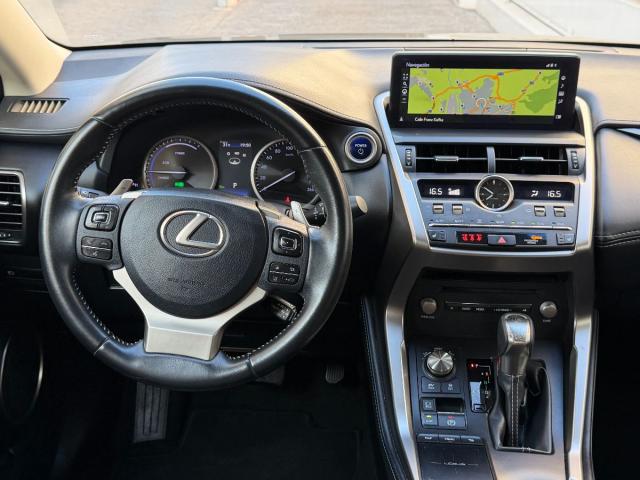 LEXUS – NX – 300h Business 2WD