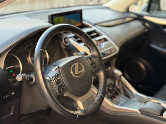 LEXUS – NX – 300h Business 2WD