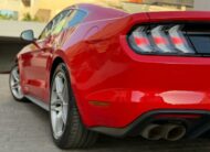 FORD Mustang Fastback GT 5.0 Ti-VCT V8 450Cv Aut.