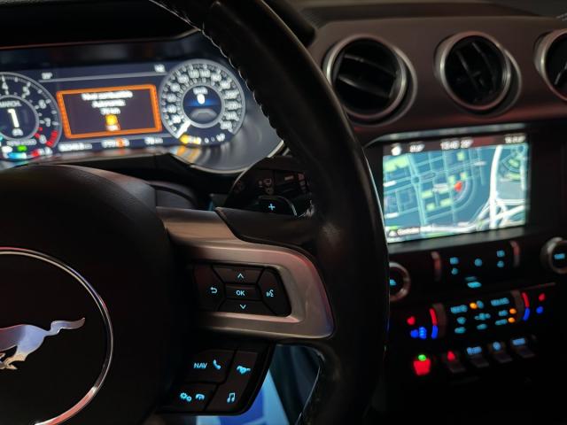 FORD Mustang Fastback GT 5.0 Ti-VCT V8 450Cv Aut.