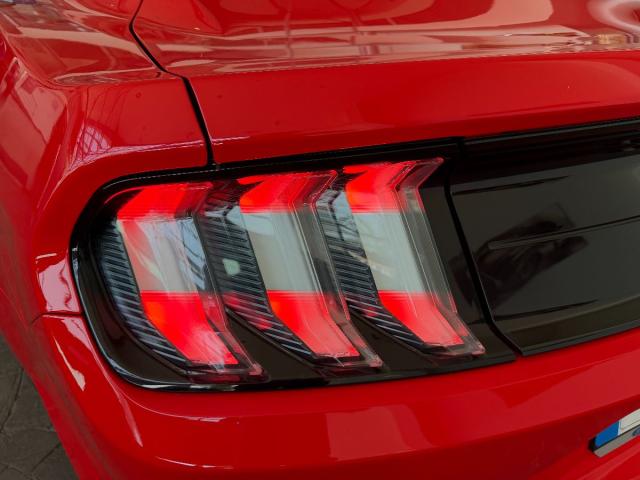 FORD Mustang Fastback GT 5.0 Ti-VCT V8 450Cv Aut.