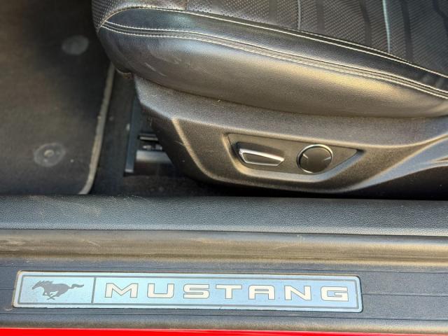 FORD Mustang Fastback GT 5.0 Ti-VCT V8 450Cv Aut.