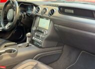 FORD Mustang Fastback GT 5.0 Ti-VCT V8 450Cv Aut.