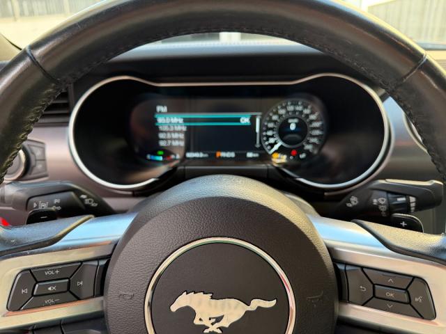 FORD Mustang Fastback GT 5.0 Ti-VCT V8 450Cv Aut.