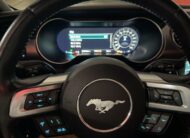 FORD Mustang Fastback GT 5.0 Ti-VCT V8 450Cv Aut.