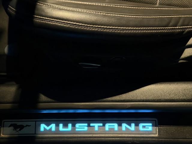 FORD Mustang Fastback GT 5.0 Ti-VCT V8 450Cv Aut.
