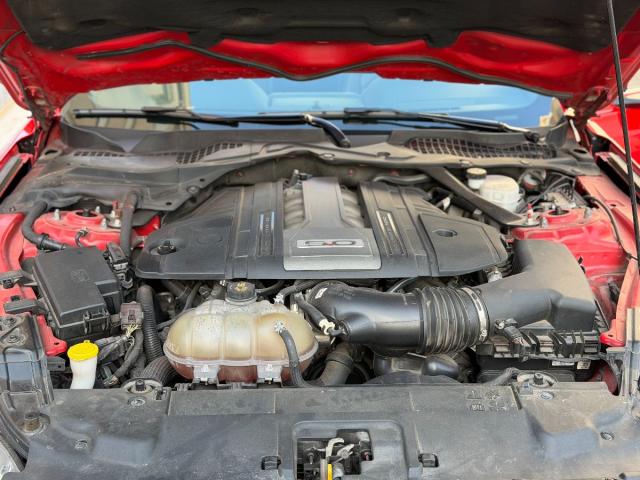 FORD Mustang Fastback GT 5.0 Ti-VCT V8 450Cv Aut.
