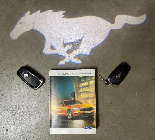 FORD Mustang Fastback GT 5.0 Ti-VCT V8 450Cv Aut.