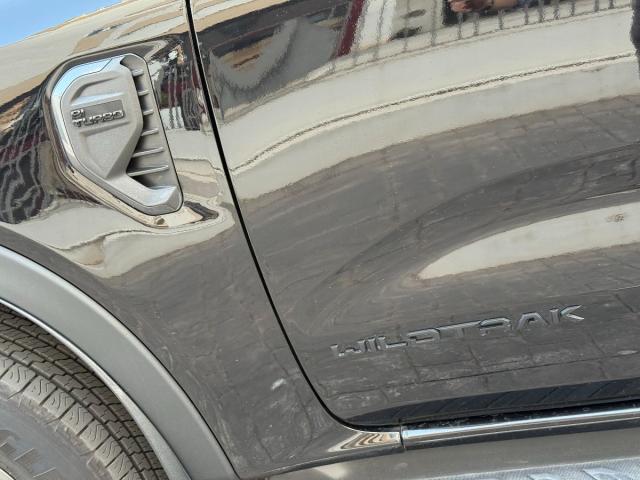 FORD Ranger Wildtrack 2.0 Ecoblue D e4x4 Aut. 205Cv-VENDIDO-