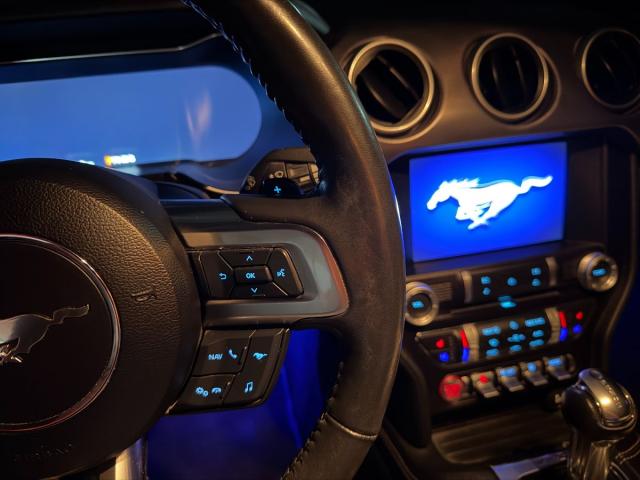 FORD – Mustang – Fastback GT 5.0 Ti-VCT V8 331 kWAut.