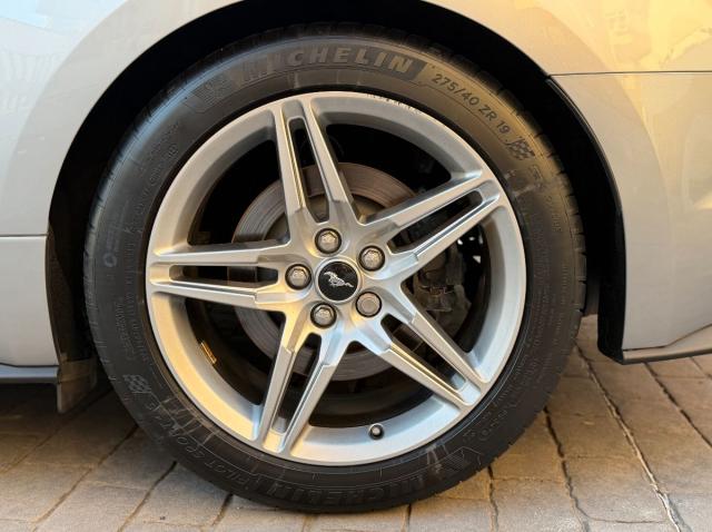 FORD – Mustang – Fastback GT 5.0 Ti-VCT V8 331 kWAut.